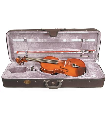 【美品】STENTOR ビオラ ヴィオラ　ステンター　Viola ニコラ・ヴィヨーム 